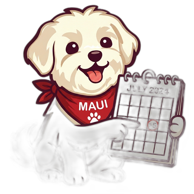 How Often Should You Groom Your Dog? A Complete Guide